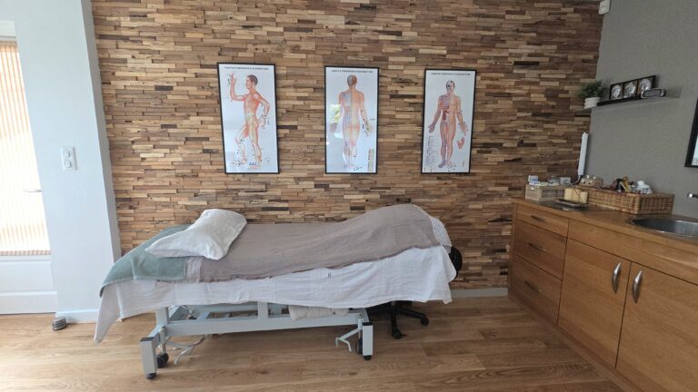 VIRGINIE GROS ACUPUNCTURE